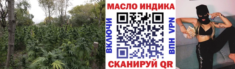 МЕГА рабочий сайт  Дмитров  ТГК Wax 